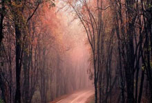 星空体育：足总杯：曼城队3-1逆转普利茅斯 晋级八强.