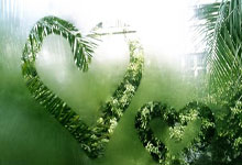 星空体育：在逆境中爆发！张帅：我常常受到樊振东的鼓舞.