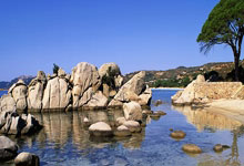 星空体育：广东胜吉林！伯克轰30分，徐杰+2首发齐爆，胡明轩贝兹利出瑕疵！.